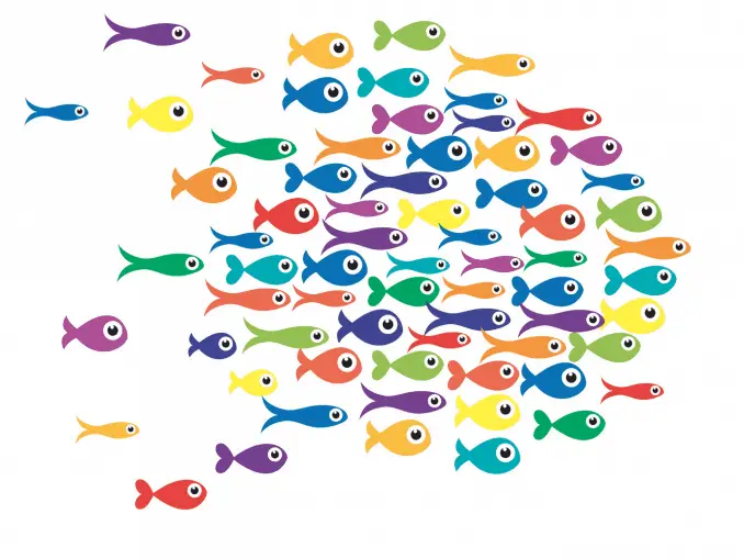 500 Funny Fish Names From Tank You To Solemate Fishkeeping World 500 Funny Fish Names From Tank You To Solemate Fishkeeping World