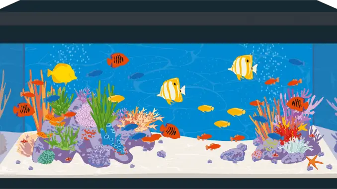 Saltwater vs Freshwater Aquariums 7 Myths Debunked Banner