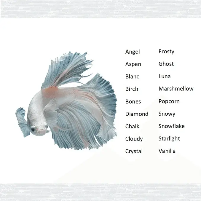 White Fish Names