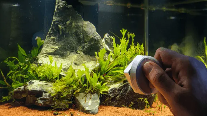 How Much Time Do You Need For Fishkeeping Cover How Much Time Do You Need For Fishkeeping Cover