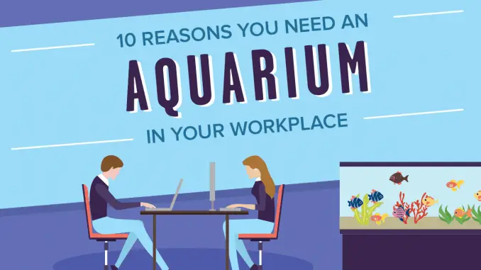 10 Reasons Why You Need an Aquarium in Your Workplace Article Banner