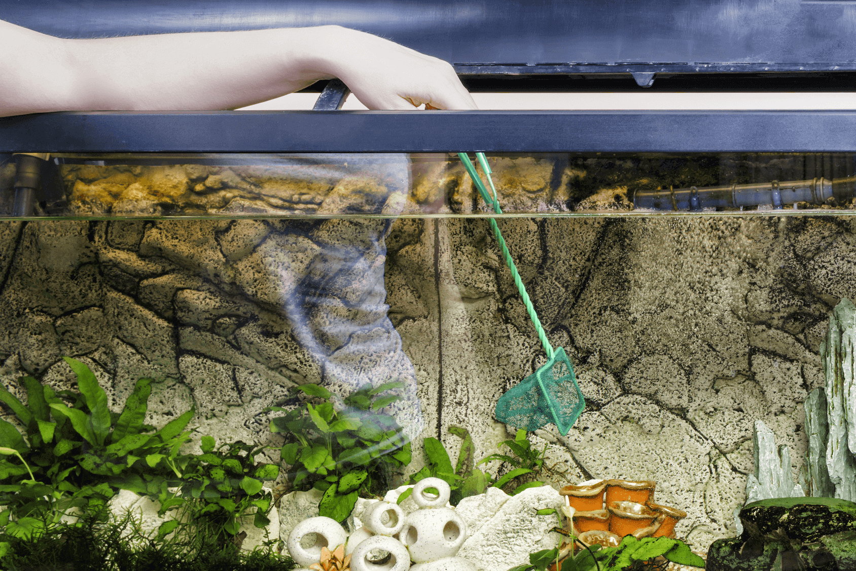 cleaning aquarium decorations