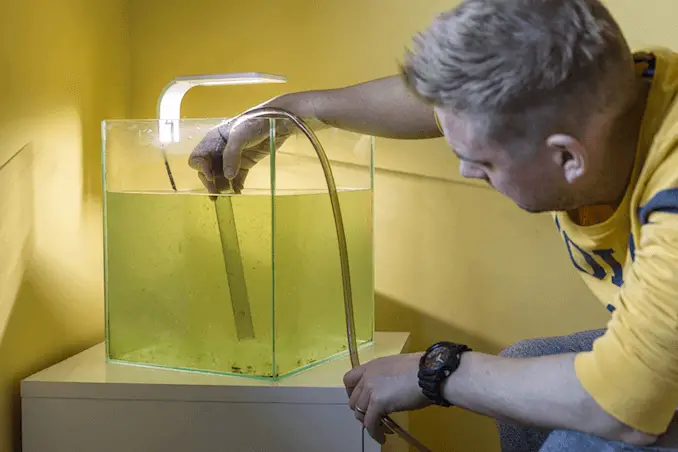 Siphoning Water From the Tank