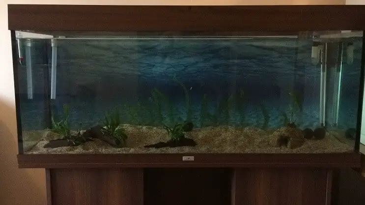 huge aquarium decorations