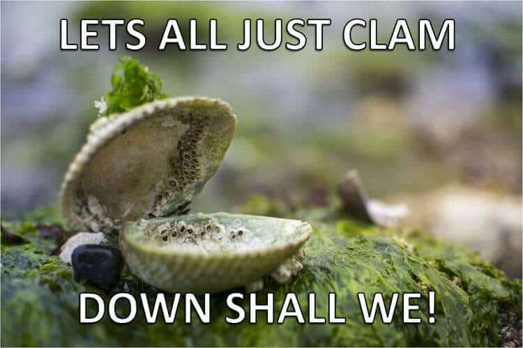 Clam Pun