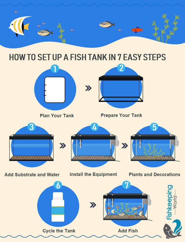 How to Set Up Tank Photo