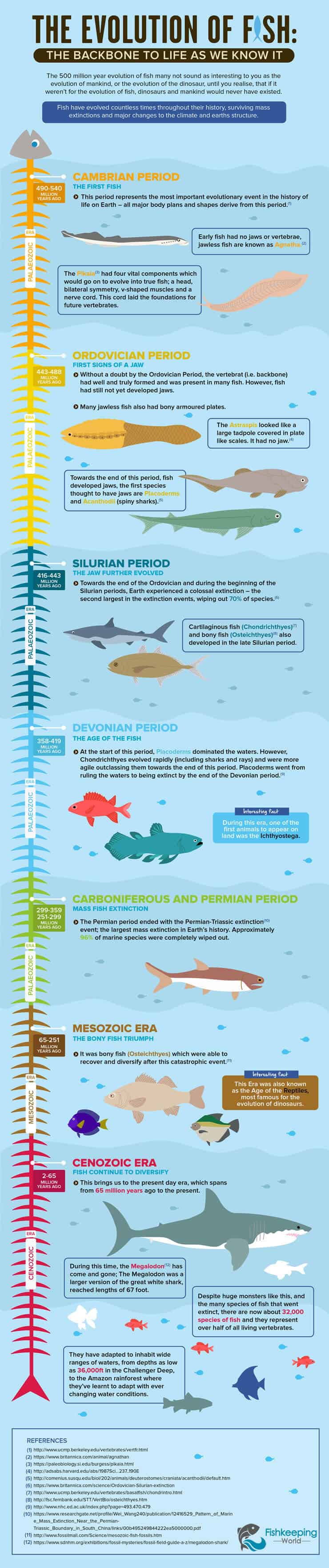 The Evolution of Fish Infographic