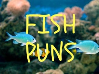 The Ultimate Fish Puns Collection Banner