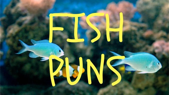 The Ultimate Fish Puns Collection Banner