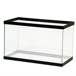 Aqueon Black Aquarium