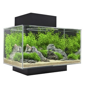 Fluval Edge Aquarium