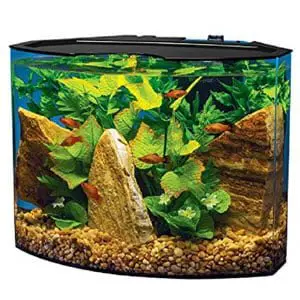 Tetra Crescent Aquarium