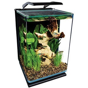 Small Aquarium Ideal for Countertop Paludarium