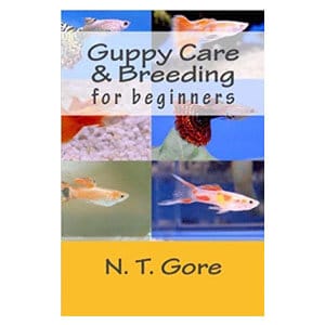 Beginners Guia para Cuidar de Guppies