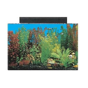 Best 20 Gallon Aquarium