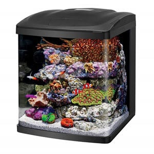 Cube Aquarium