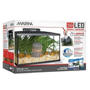 5 Gallon Fish Tank Kit