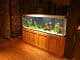 75 Gallon Aquarium The Complete Beginner's Guide Banner