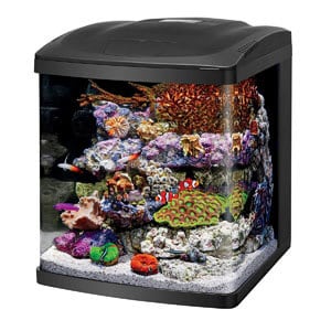 15 gallon fish tank kit