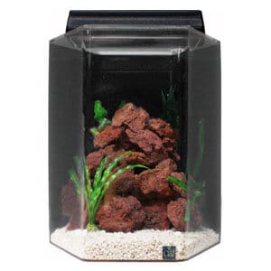 15 gallon fish tank kit