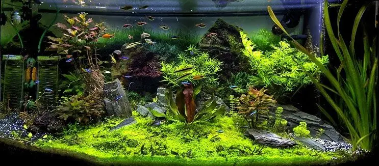 harry potter fish tank decorations