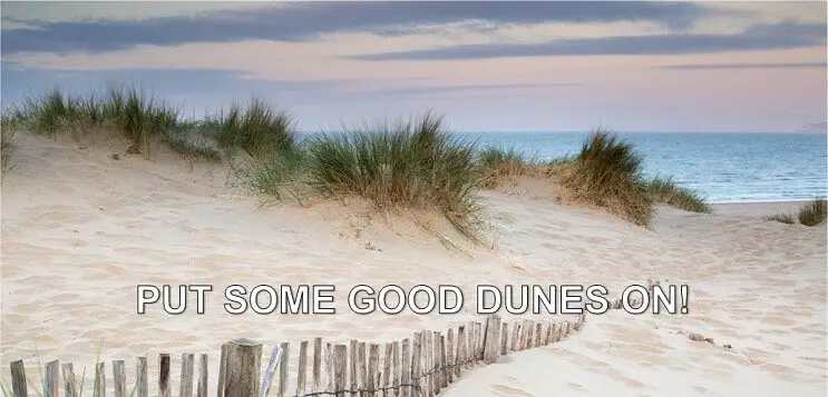 Panorama landscape of sand dunes system on beach at sunrise