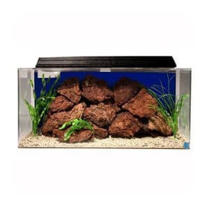 Best 50 Gallon Starter Kit