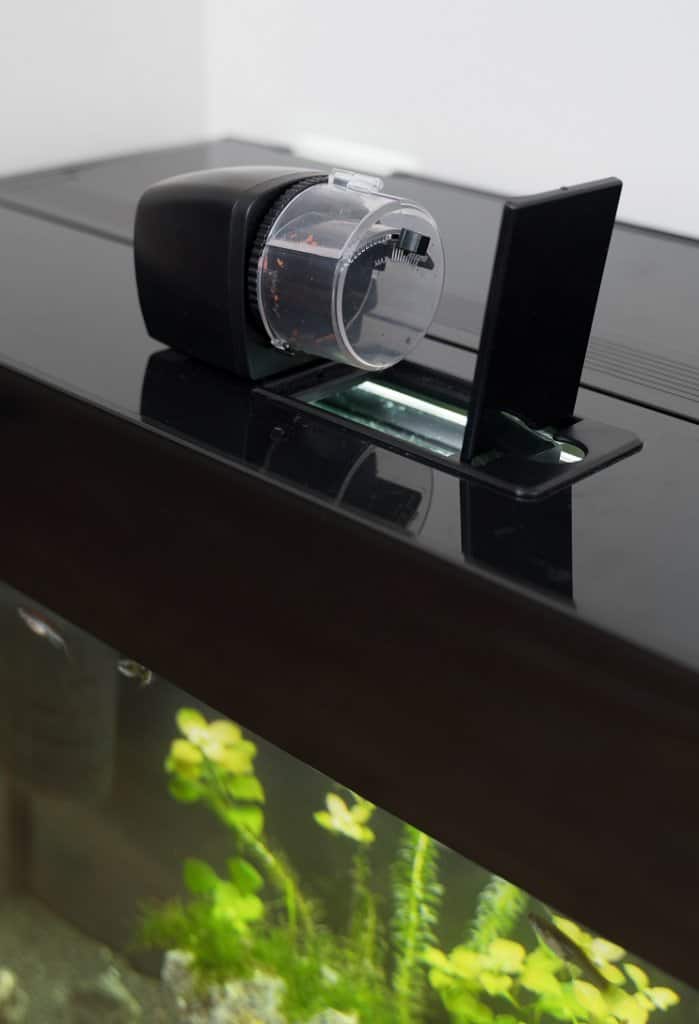 automatic betta fish feeder