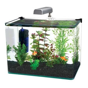 Penn Plax Curved Aquarium