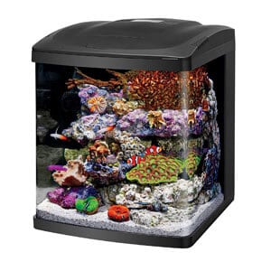 Coralife Nano Cube Fish Tank