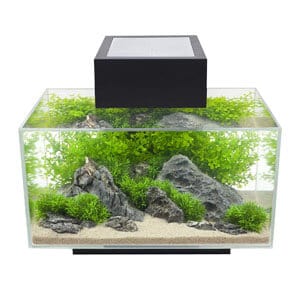 Stylish 6 Gallon Tank