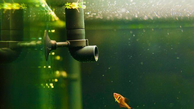 Aquarium Pumps The Complete Review Of The Best Aquarium Pumps Banner