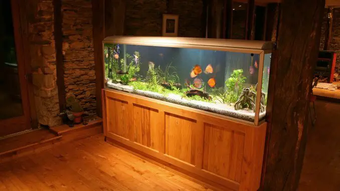 55 gallon fish tank starter kit online