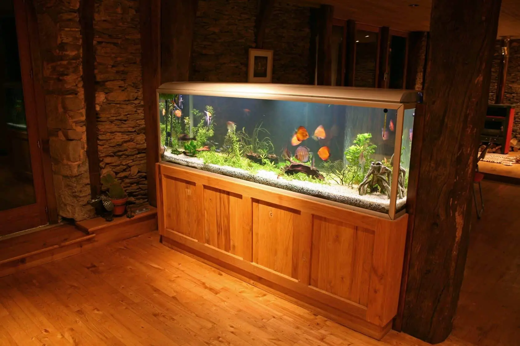 Gallon fish tank setup
