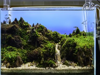 Best LED Aquarium Lighting The Ultimate Guide To Picking The Right One Cover