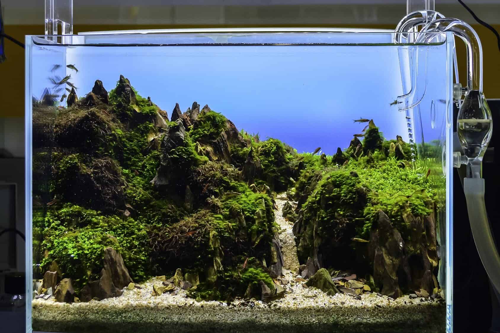tropical fish tank lighting system
