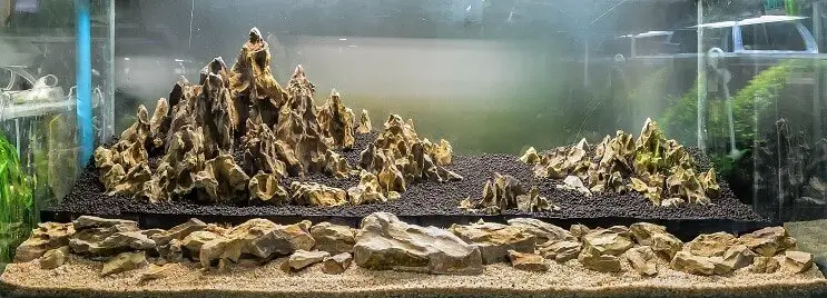 Iwagumi Aquascape