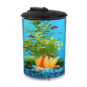 Koller Aquaview 3 Gallon Tank