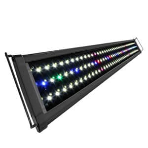 Koval LED Lighting