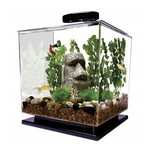 The Tetra Aquarium