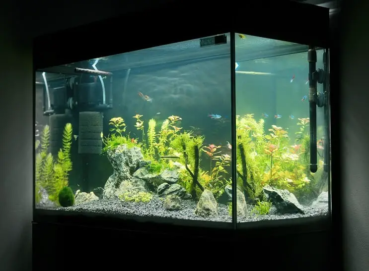 20 Gallon Long Equipment