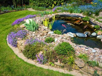 What Is A Koi Pond And How To Build Your Own (Best Setup Ideas) Banner