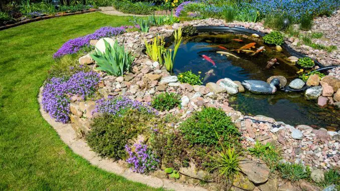 What Is A Koi Pond And How To Build Your Own (Best Setup Ideas) Banner