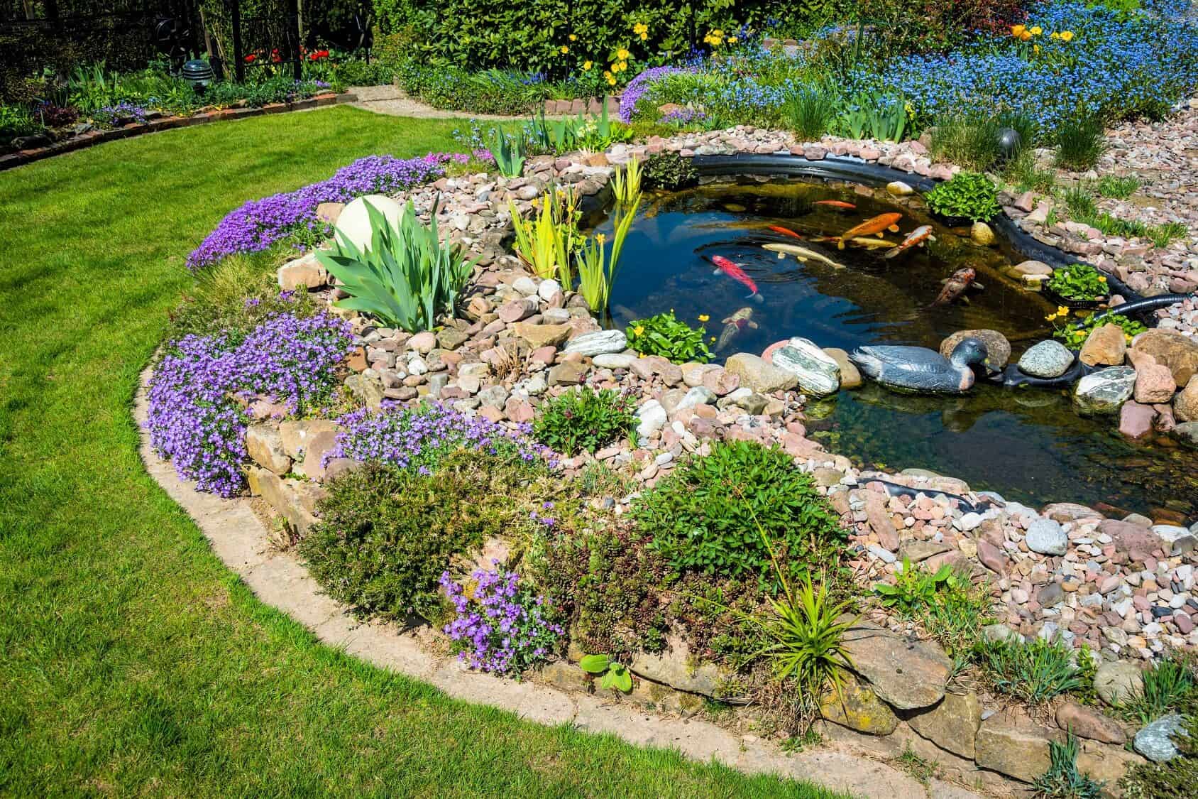 What Is A Koi Pond And How To Build Your Own (Best Setup Ideas