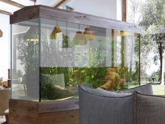 100 Gallon Fish Tank Guide The Ultimate Aquarium?