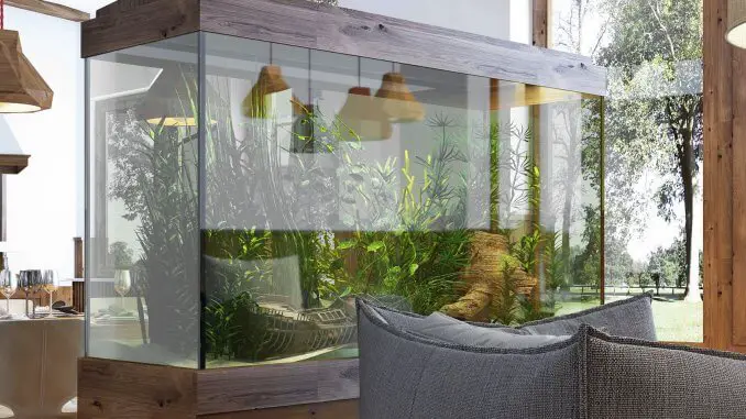 100 Gallon Fish Tank Guide The Ultimate Aquarium?