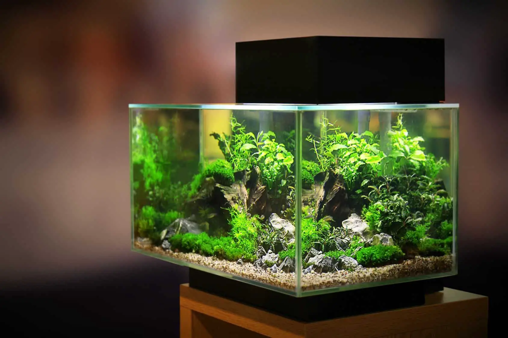 KollerCraft Smart Tank 6.5-Gallon Aquarium Kit, Create Custom LED Light  Colors, Monitor Tank Temperature, Schedule Maintenance Reminders and Alerts  Easily From Your iPhone or Android - Walmart.com