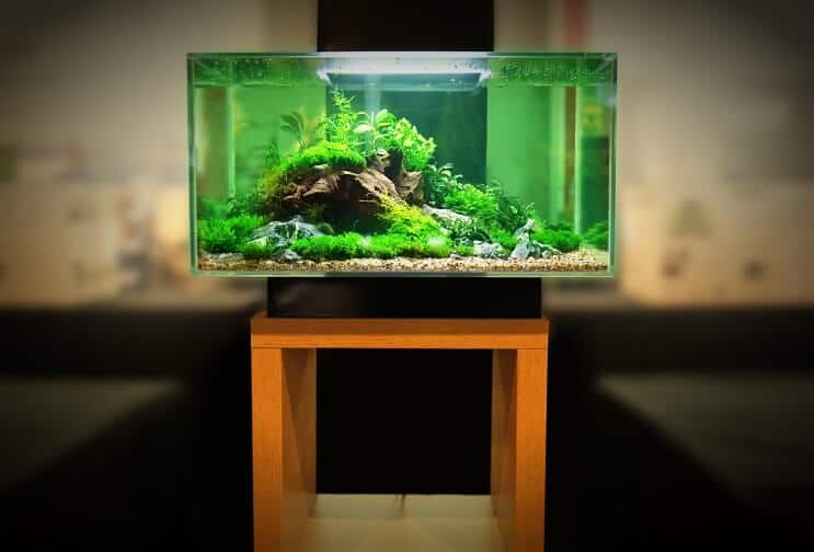 30 gallon fish tank kit