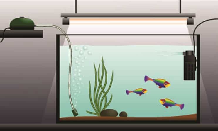 Best Aquarium Air Pump: The Ultimate 