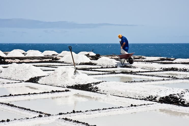 Extracting Reef Salt